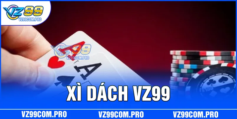 xi-dach-vz99